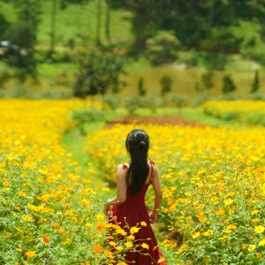 달랏 전문 스냅 사진 작가 동행 나트랑 출발 원데이 투어