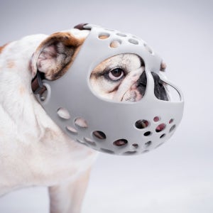 레드퍼피/한스 실리콘 입마개