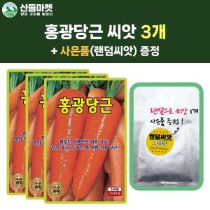 산들마켓 홍광당근 씨앗 1500립 봄부터 여름까지 파종가능한 우수 품종 3개+랜덤 씨앗 1개 증정