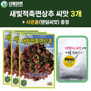 산들마켓 새빛적축면 상추 씨앗 3000립 빛깔이 선명하고 잎이 두꺼운 고급품종 3개+랜덤 씨앗 1개 증정