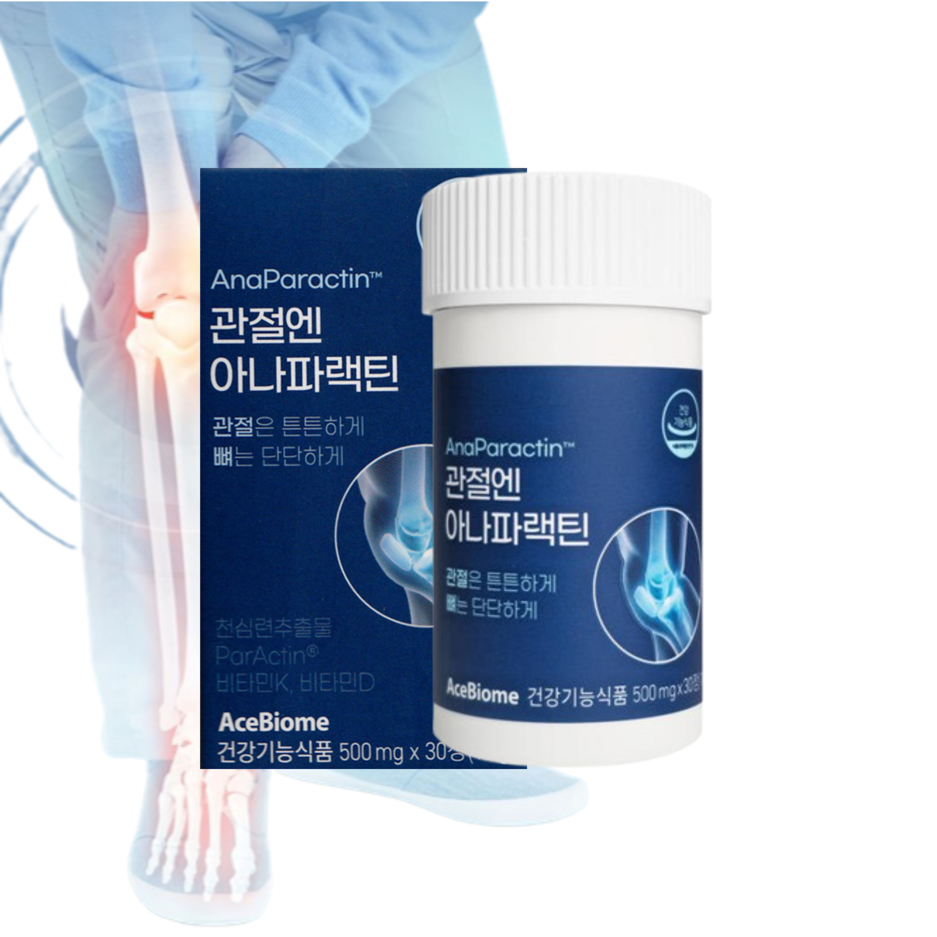 관절엔 아나파랙틴 정제