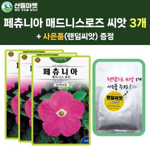 산들마켓 페츄니아 꽃 씨앗 20립 매드니스 로즈 이년생 조생 꽃씨 3개+랜덤 씨앗 1개 증정