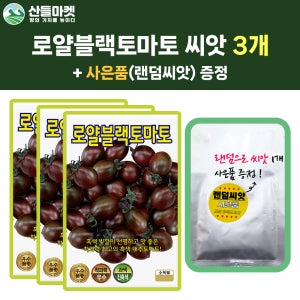 KS종묘 로얄블랙 대추토마토씨앗 10립 흑색빛깔 대추방울 토마토씨 3개+랜덤 씨앗 1개 증정