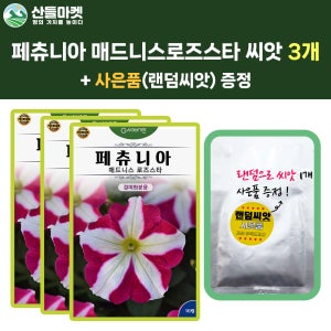 KS종묘 페츄니아 꽃 씨앗 10립 매드니스 로즈스타 이년생 조생 꽃씨 3개+랜덤 씨앗 1개 증정