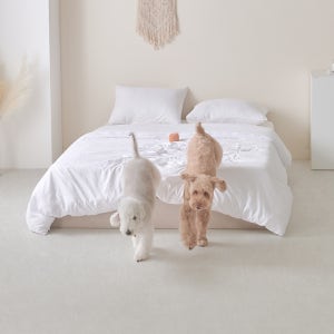 피오르 강아지 롤매트 애견 반려견 펫 거실 복도 바닥 시공 논슬립 미끄럼방지 150X100