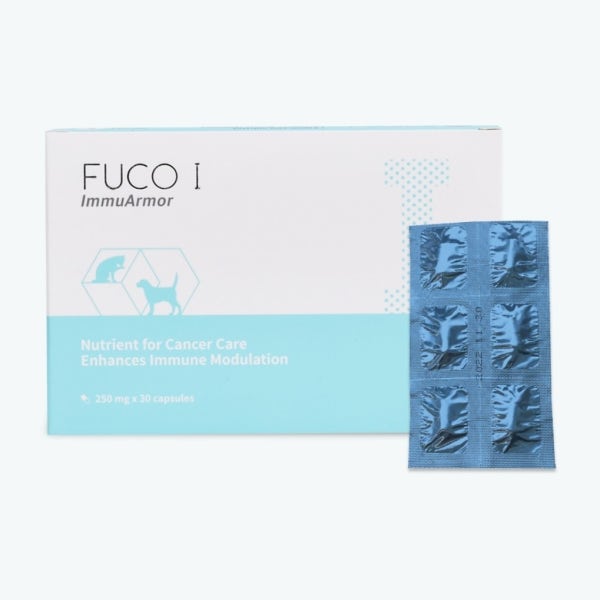 FUCO I 360mg X 30capsule 후코아이 반려동물 종양 영양보조제