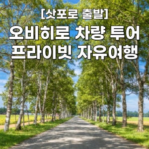 [삿포로 출발] 오비히로 일일투어 일본 북해도 프라이빗 홋카이도 삿포로 맞춤 차량투어