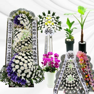 근조화환 영남대장례식장 장례식화환보내기 부의부고조화 경조사 전문배달 전국꽃배달서비스