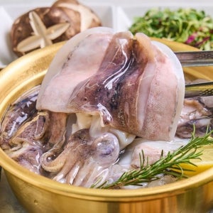 신선한 생물 국내산 손질 갑오징어 500g, 10개