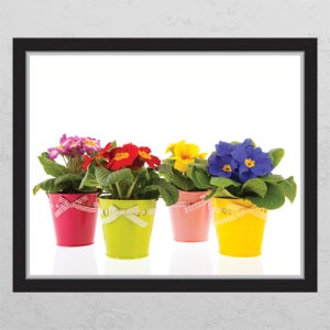 장덕수시트지 ch119-봄봄봄 봄이왔어요_창문그림액자_뮤럴시트지