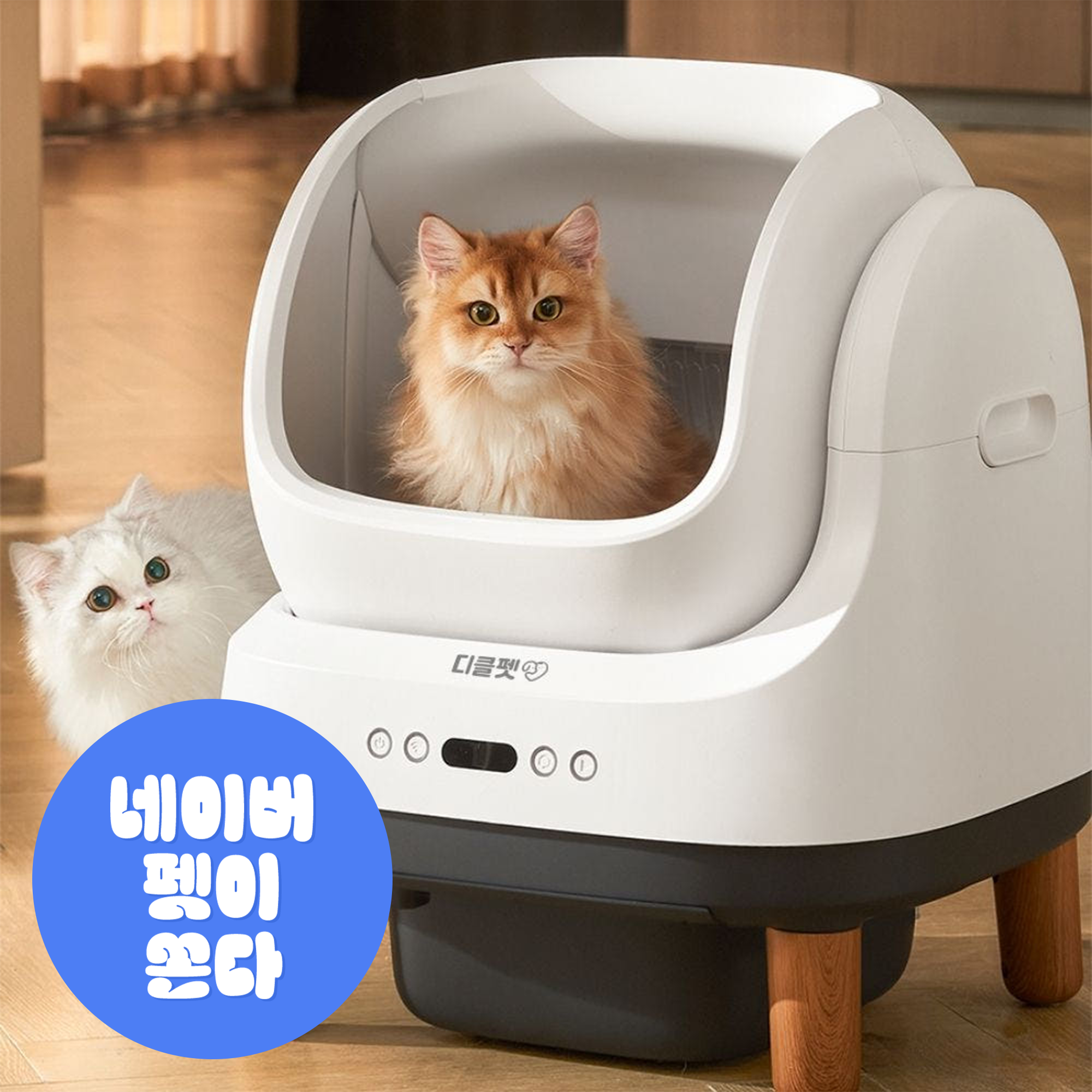 [디클펫] 고양이 자동 화장실 오픈형 모리