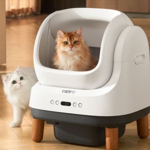 [디클펫] 고양이 자동 화장실 오픈형 모리
