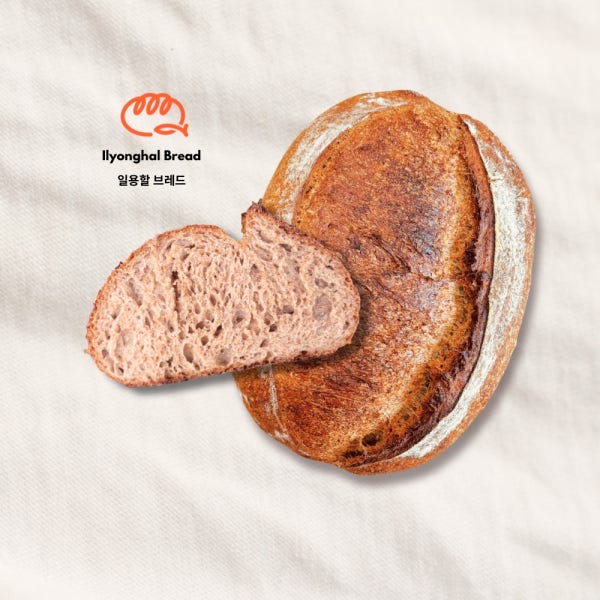 일용할 브레드 사워도우 빵 대형