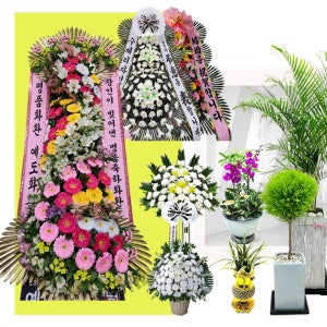 마곡 결혼식고급화환 이취임 축하 꽃화환 전문배달 자체제작 승진난 개업화분 동양란 서양란