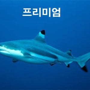 [신규오픈 저녁제공] 괌 상어 크루즈 투어+한국인가이드(돌핀크루즈 돌고래 출몰시 동시관람)