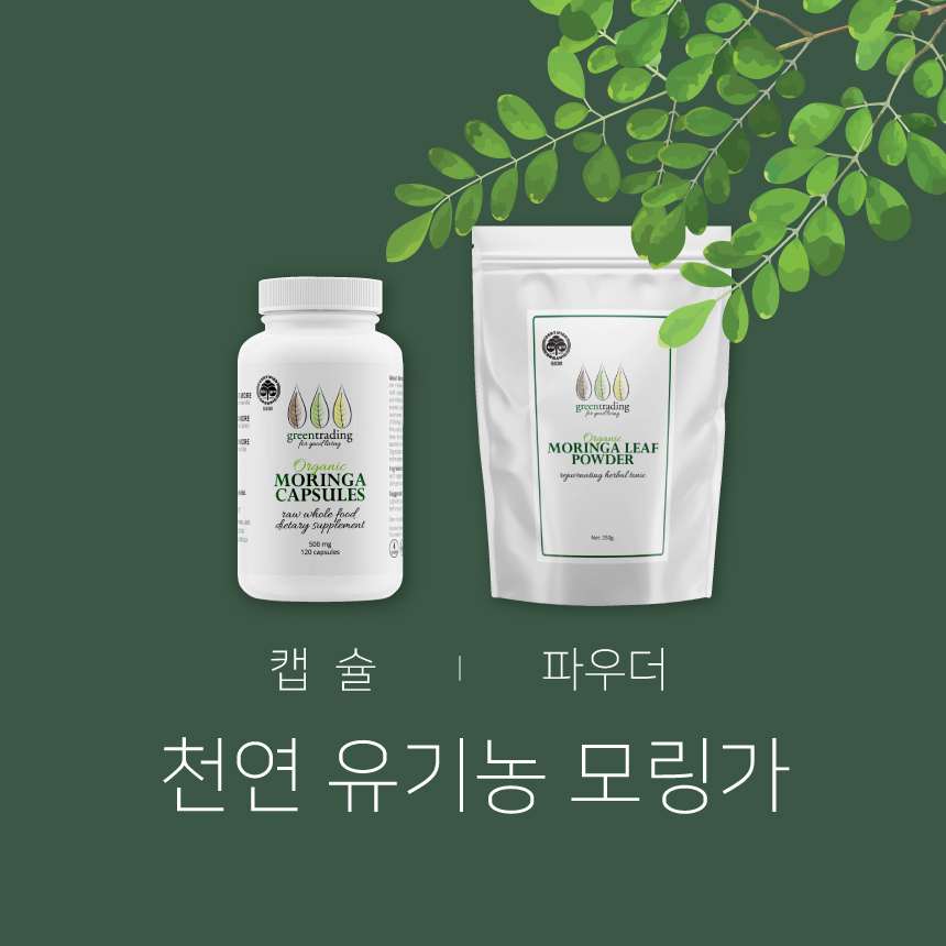 뉴질랜드 100% 오가닉 <b>모링가 500mg</b> 120캡슐 / 모링가잎 250g 파우더