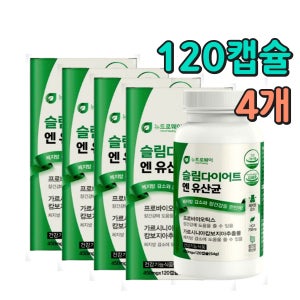 남성 체지방량 다이어트 가르시니아 보조 식품 중년 평균체중 BMI 감소 체지방감소 프로바이오틱스 건강한 슬림 몸매 관리 살빼기 혼합 유산균 출산후 복합기능성 람노서스 프롤린 FOS