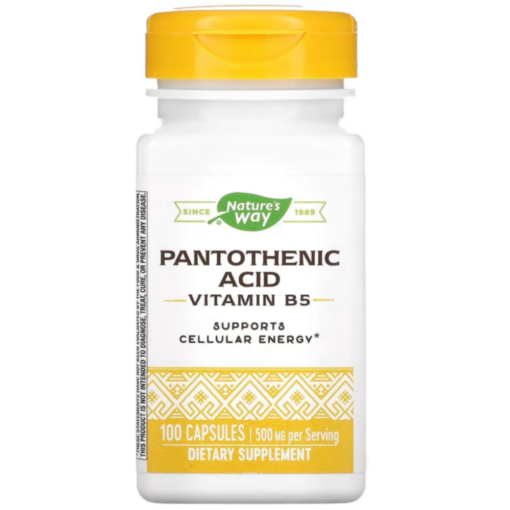 <b>네이처스웨이 판토텐산</b> 비타민 B5 500mg 100정