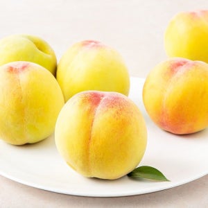 (타임어택 빅딜) 겨울복숭아 임산부 설리 설아 설도 복숭아 산지직송-로얄과