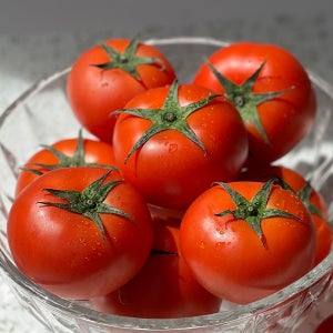 유럽종 못난이 토마토 쥬스용 주스용 토마도 3kg