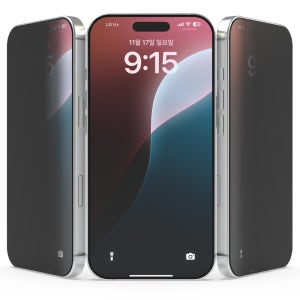 엔조위크 사생활 보호 강화유리 프라이버시 액정보호필름 아이폰12 프로, 1매입