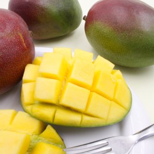산지직송 고당도 애플망고 열대과일 1kg 2kg 3kg 4kg 무료배송