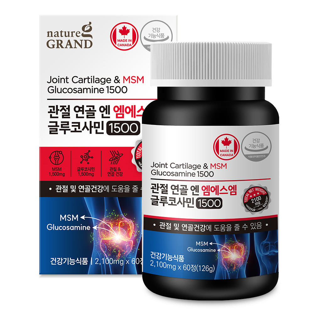 관절 엔 엠에스엠