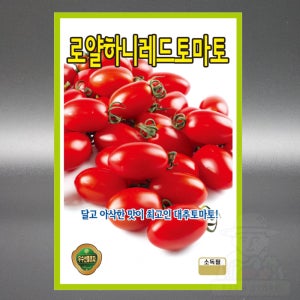 KS종묘 로얄하니레드토마토 20립 대추 방울토마토 씨앗 씨 종자