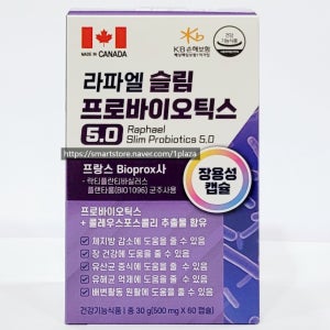 라파엘 슬림 프로바이오틱스 5.0 500mg x 60캡슐 x 1개