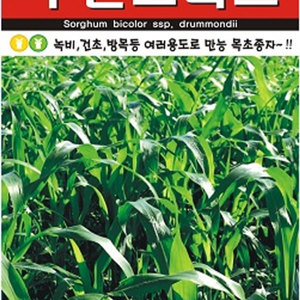 수단그라스 700g 녹비,건초,방목등 여러용도로 만능 목초종자