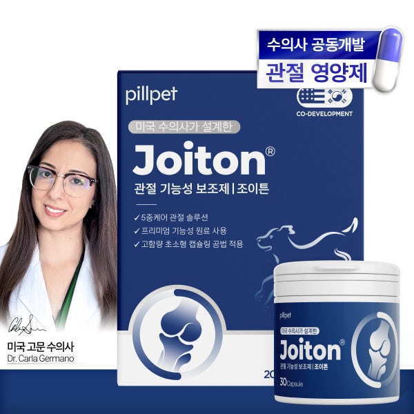 필펫 조이튼 고양이 관절 영양제 노묘 슬개골 관절염 디스크 영양제