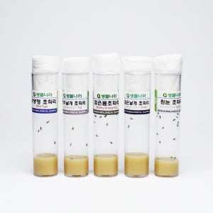 돌연변이관찰세트 교육 분석 과학기자재 실험 기구 실험용 연구