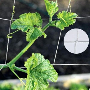 비닐하우스 상인농자재 마트 고추 오이망