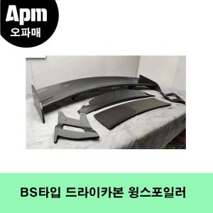 벤츠 AMG GT / GTS / GTC전용 BS타입 드라이카본 윙스포일러