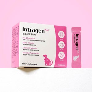 인트라젠 플러스 분말 스틱 30포 위장건강 면역증강 반려동물 종합영양제