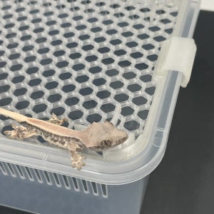 [매쉬 뚜껑 소]적재형 사육장 렉사 대체 JIF 레파즈 조이클린 분무 환기 크레스티드게코