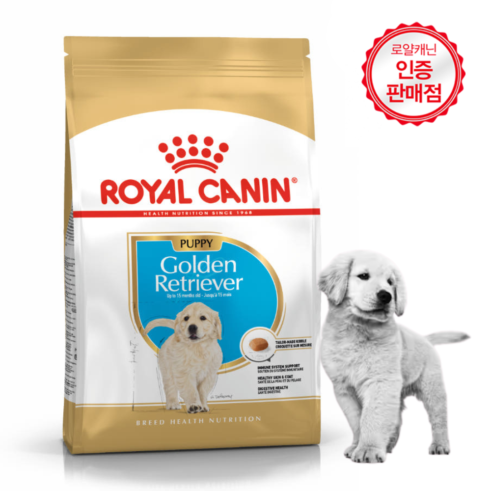 골든 리트리버 (Golden Retriever)