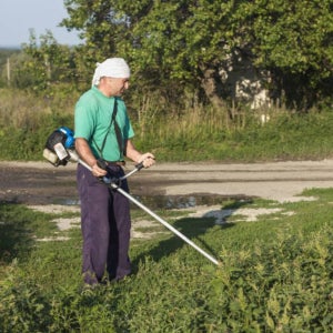 대전시 봉분 묘 산소 묘지 벌초 대행 잡초제거 예초작업 잔디깍기 마당 정원가꾸기