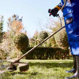 의정부시 봉분 묘 산소 묘지 벌초 대행 잡초제거 예초작업 잔디깍기 마당 정원가꾸기