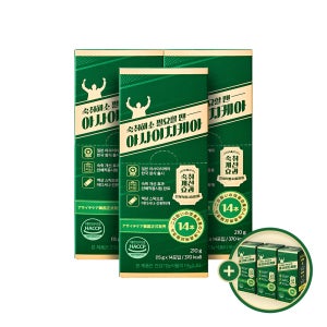 영업직 숙취해소제 아사이치케아 210g 42포