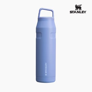 스탠리 아이스플로우 에어로라이트 캡&캐리+ 텀블러 1.1L, 하이드렌지아