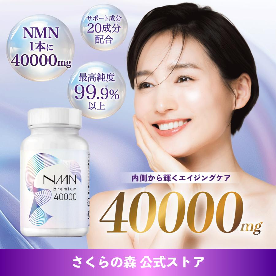 NMN 일본 히알루론산 콜라겐 피부영양제 120캡슐