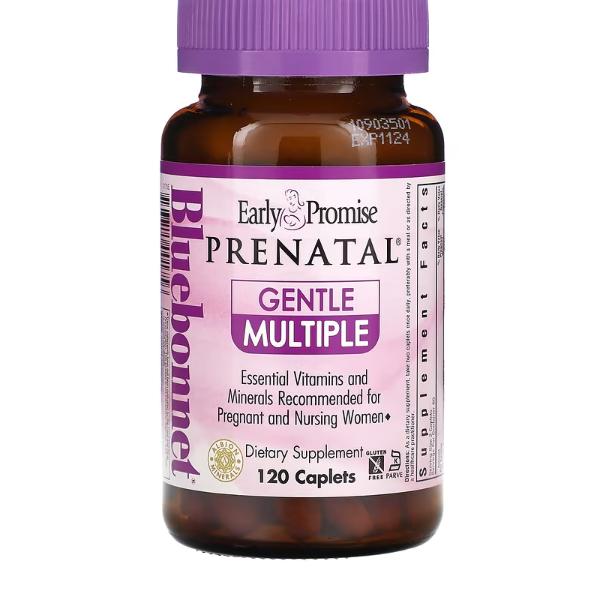 블루본넷뉴트리션 얼리 프로미스 프리네이틀 <b>젠틀 멀티플</b> 120 당의정