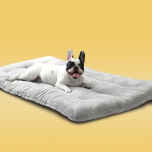 강아지 방석 다크그레이 대형견 애견 펫 쿠션