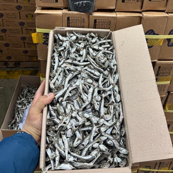 통영이순신수산 다시멸치 국물멸치 1.5kg 고추장용 볶음 대멸 중멸 아기 잔멸치 세멸