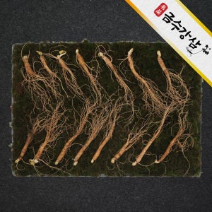 금수강삼 산양산삼 산양삼 장뇌삼 선물세트 6,8,10,13년근 정삼 3-14뿌리