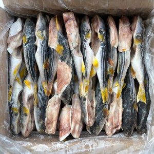 냉동 손질 복어 까치복 15KG 300/500 약45마리 내장제거 유독제거 복지리 복어탕