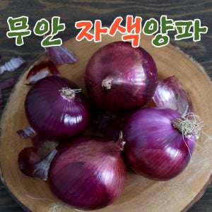 공상청 무안 자색양파 적양파3kg/5kg/10kg