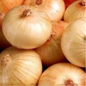 공상청 무안 햇양파 양파3kg/5kg/10kg