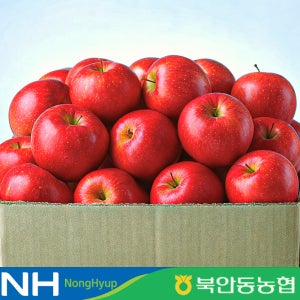 안동농협사과 문경 청송사과 부사사과10kg 시나노골드 못난이사과5kg 세척사과 엔비 달달